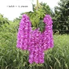 Lavanda
