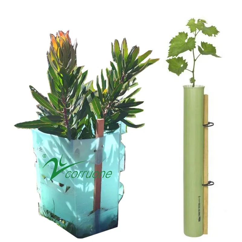 Outdoor UV Tree Protection Guard Protector PP Board Plastic Fence Seedling Trunk Frost Tubes Custom Cutting Processing Service