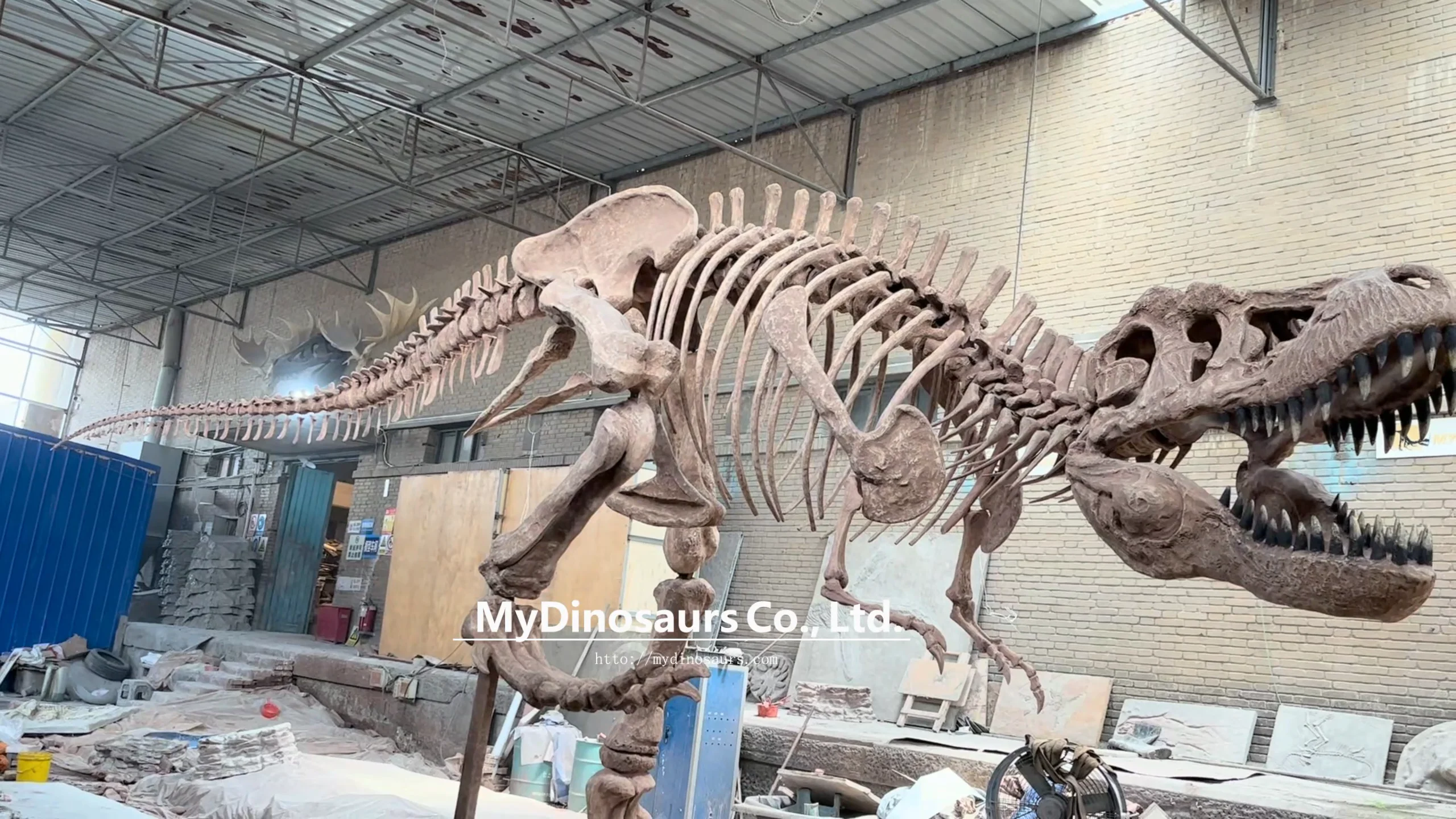 Fóssil de dinossauro dos desenhos animados t-rex