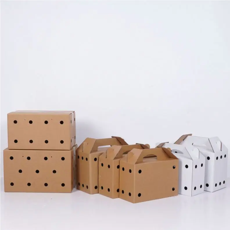 Custom Five-layer Extra-hard Corrugated Cardboard for Pet Cats Dogs Small Animal Live Transport Box Cardboard Pet Carriers