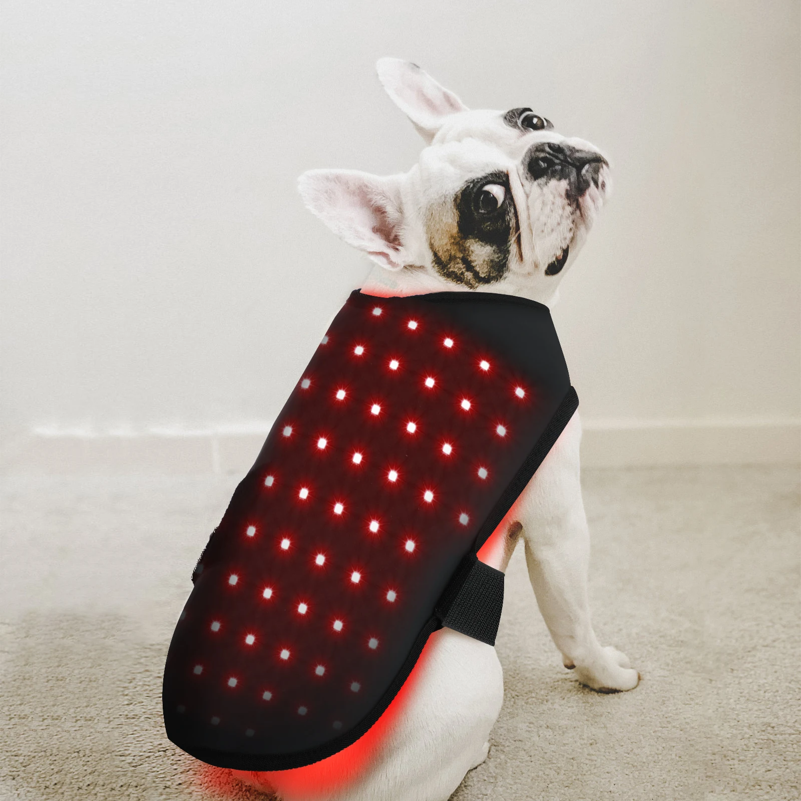 New Led Red Infrared Light Dog Clothes Animal Therapy Wrap Belt Red