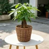 Naturale D26*D23*H24 cm