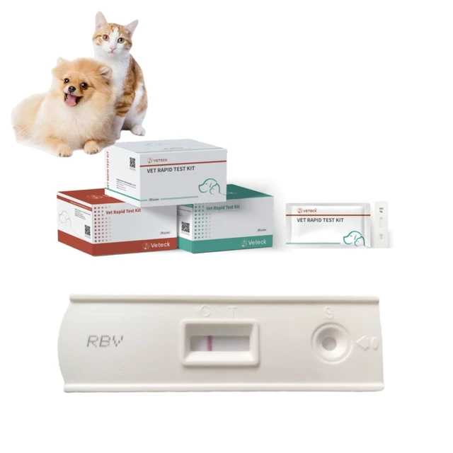 Canine and Feline RBV Rabies Antigen Rapid Diagnostic Test Kit Veterinary Equipment for Pet Rabies Virus Detection