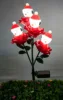 Negro (Luz Blanca)