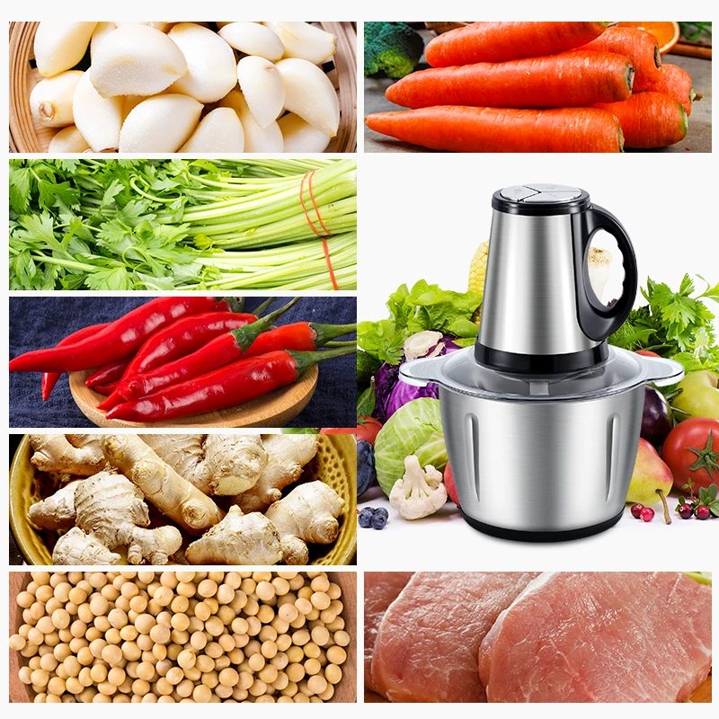 Buy Wholesale China 2 Speed Food Grinder Electric Vegetable Chopper For  Household Meat Mincing With Stainless Steel Bowl & Electric Vegetable  Chopper at USD 8.7