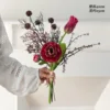 Purple-red dew lotus tulip-red coffee windmill-frost flower