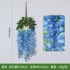 3-pronged golden shower tree, sky blue
