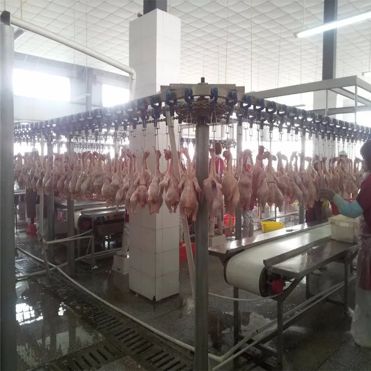 Poultry processing line slaughter line slaughterhouse equipment