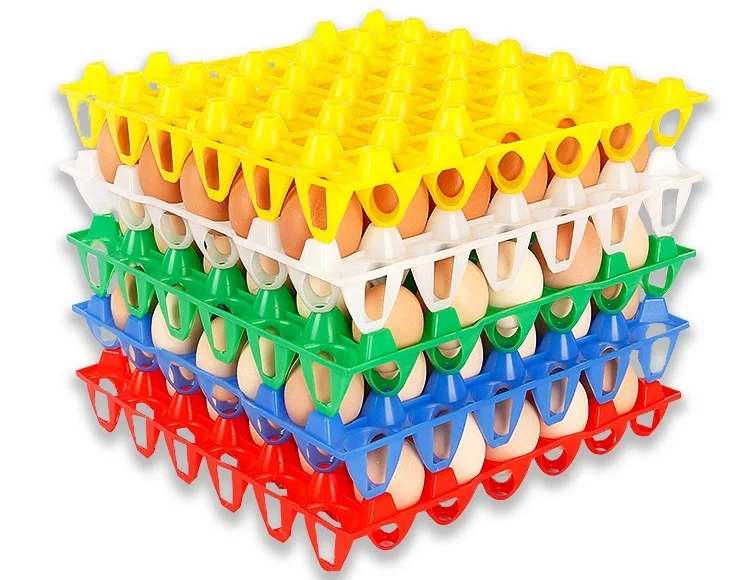 Fast Speed Quality 200 Tons Good Price 30pcs Egg Plastic Tray Making