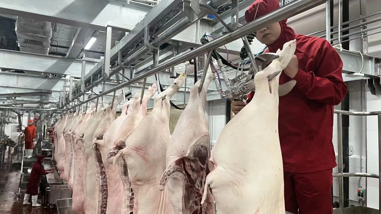 Pork Meat Butcher Abattoir Pork Processing Plant Pig Slaughter House 