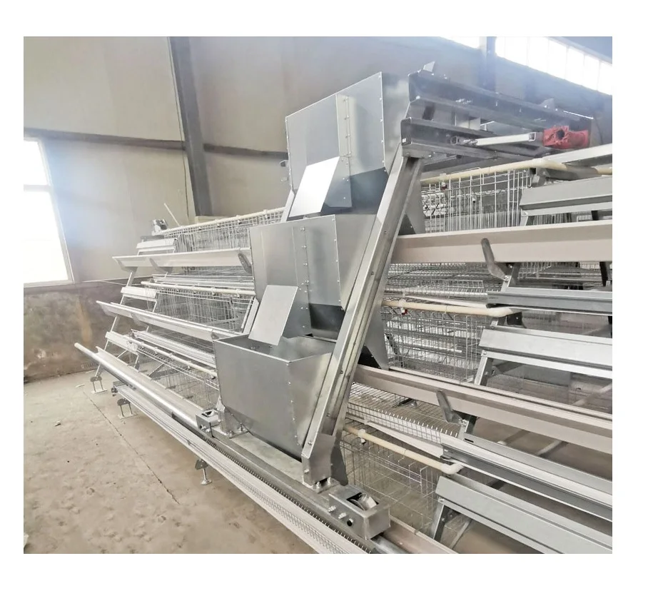 Layer Chicken Coop Design for Modern Uganda Farms