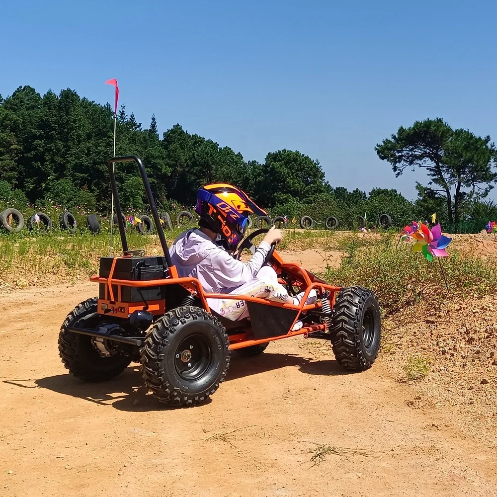 Electric Snow Buggy 48V Double Engine Go Kart 1000W Shaft and Motor Drive Chain Drive Mode