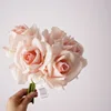 Pink-3