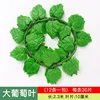 ราคา 30 ชิ้นต่อขนาดใหญ่
