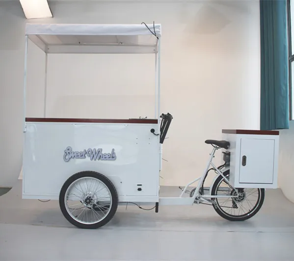 Ice Cream Bike With Coolbox 258l Freezer For Selling Popsicle Ice Cream ...