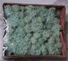 B-03 Tiffany blue