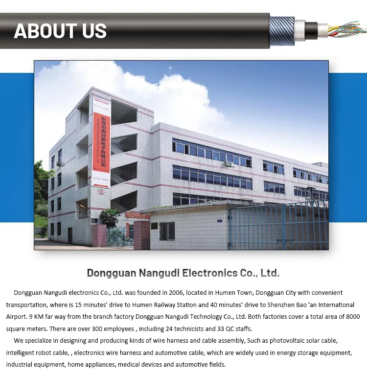 Custom-made Medical Smart Home Equipment Cable 24P Connector Complete Cable Assembly PTFE PVC Insulation Electronic Wire Harness