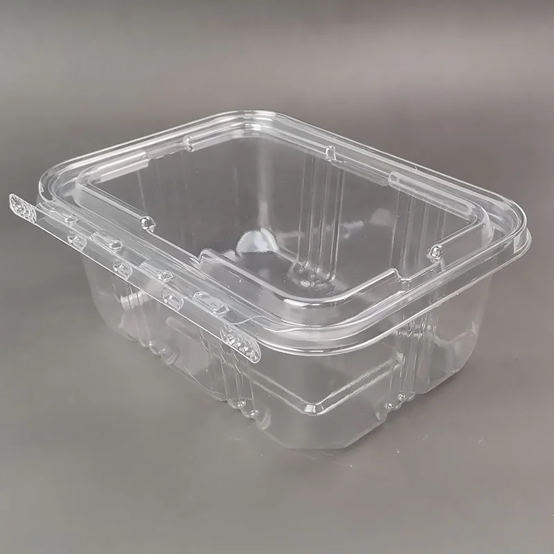 Tamper Proof Plastic Hinged Container Tamper Evident PET Containers PET Food Salad Container for Nuts, Fruit, Salad Packaging