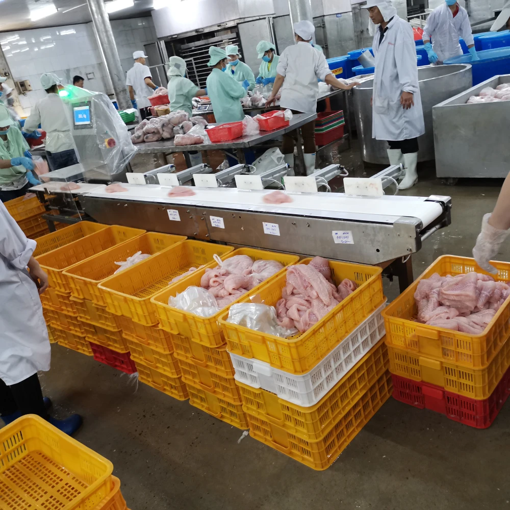 Online Auto Weight Sorting Machine Food Conveyor for Fish