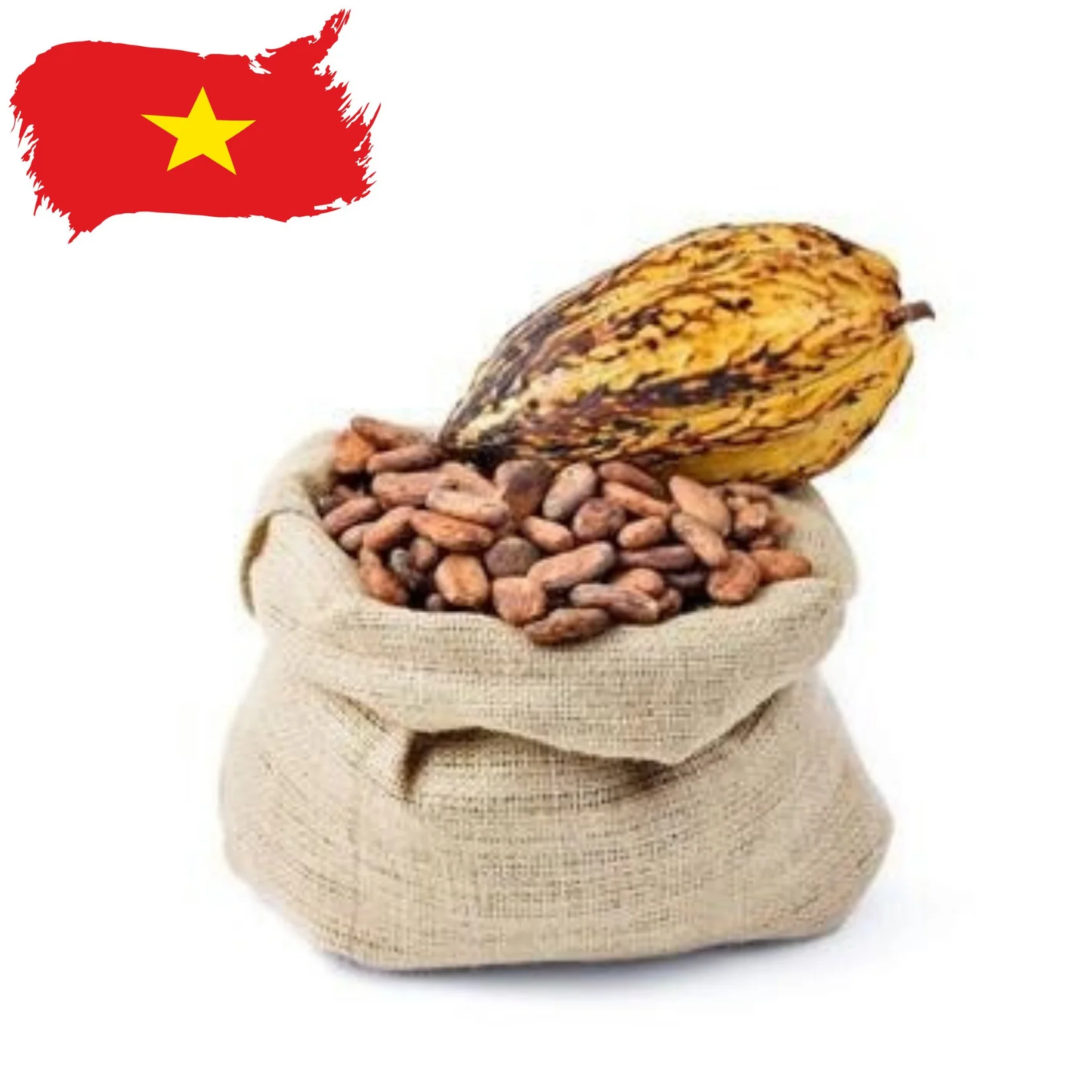 精细风味越南高地可可豆 Cacaotrace可可成分 Buy 越南高地可可豆可可豆出售 越南可可豆发酵可可豆 可可豆批发供应商product On Alibaba Com