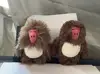 long plush