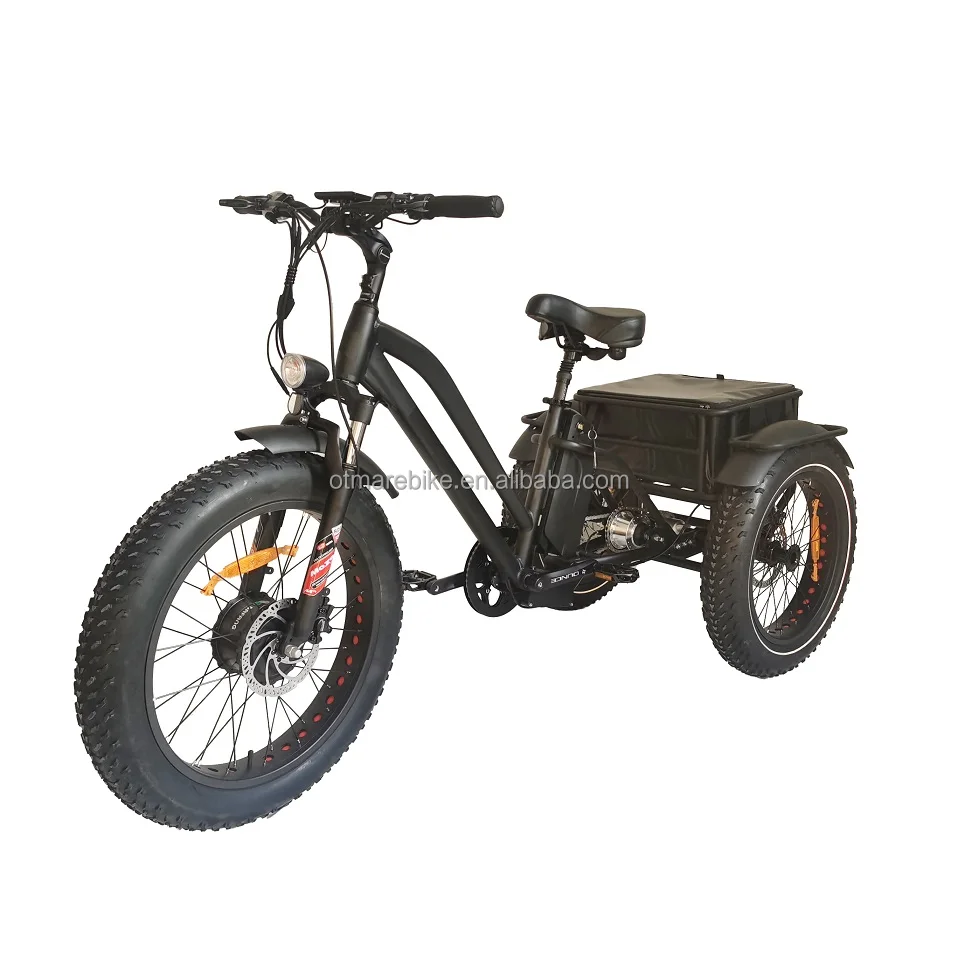 3 Wheel Fat Tire Electric Bike Cargo 24inch Front Motor Wheel Drive 