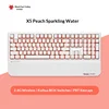 Interruptor soldado de modo dual de agua con gas X5 Peach