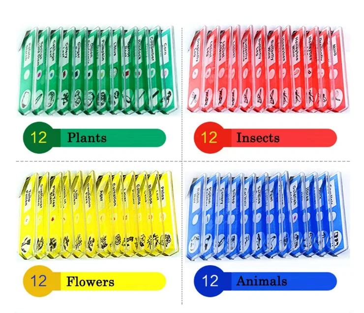 Fixed 48pcs Different Plastic Prepared Microscope Slides for Homeschool Education