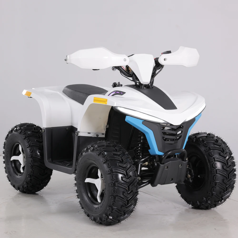 Tao Motor 2023 Latest Design 48v 1600w Teenage Electric Atvs - Buy ...