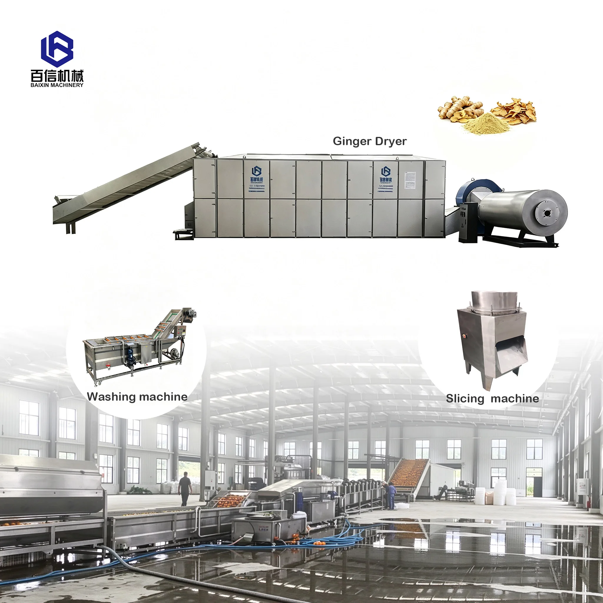 Ginger Washing and Drying Machine Drying Machine Oven Turmeric Ginger Dryer
