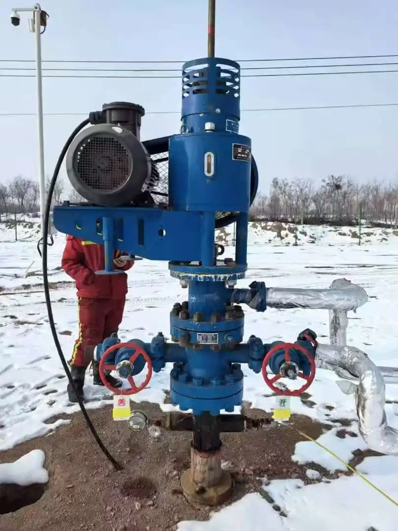 Pcp Api API Downhole Submersible Screw Pump PCP with Motor Drive Head