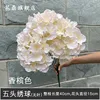 Champagne-colored 5-headed hydrangea without leaves
