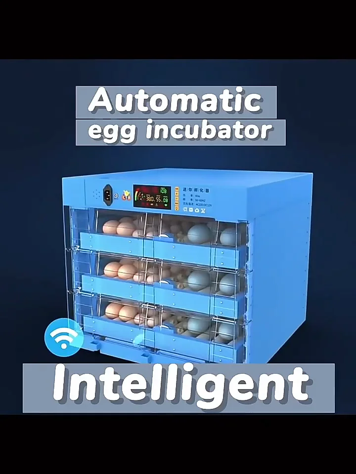 High Hatchability Wq294 Eggs Incubator With Automatic Turning For