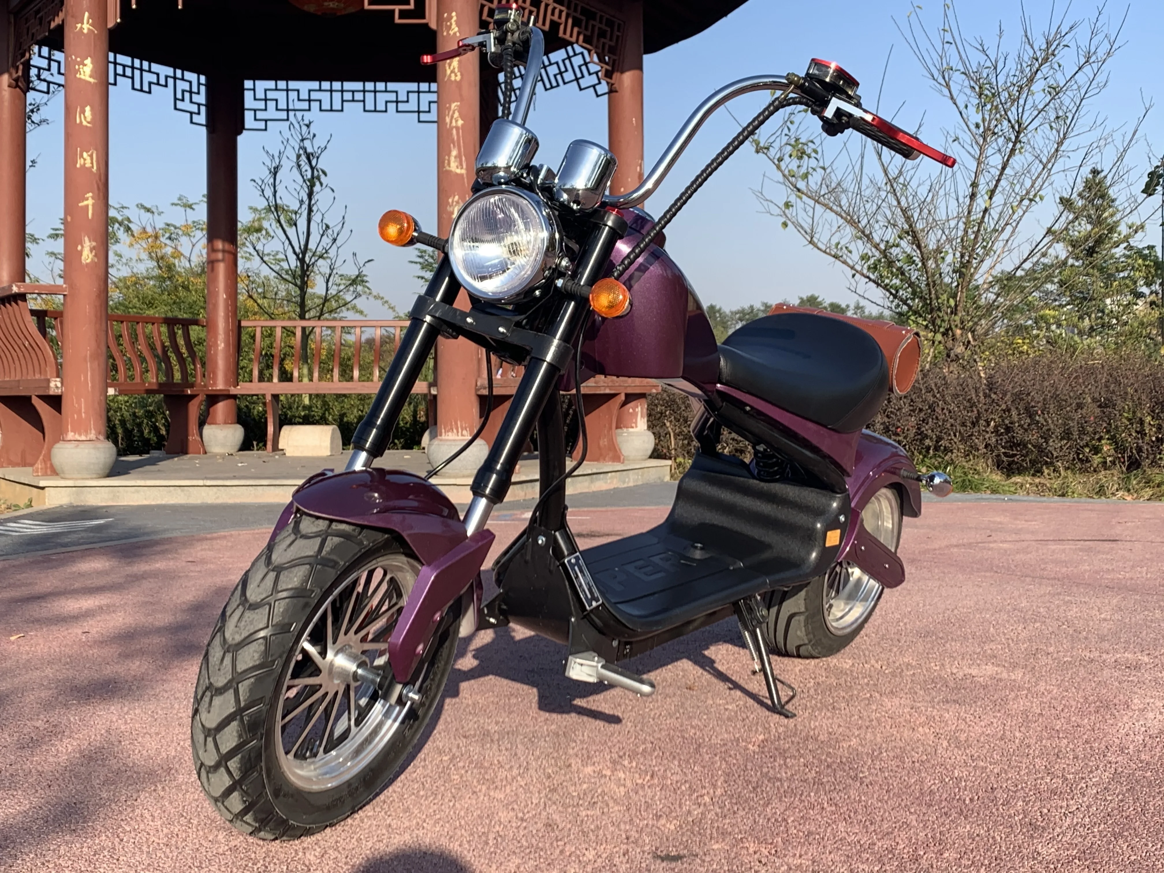 2022 Citycoco Electric Scooter - 1200w, 40-60KM Range