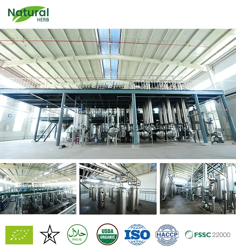 Factory Supply Beet Root Extract Powder High Quality Beta Vulgaris Extract Food Grade Pigment Powder