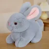 Grigio