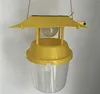 Amarillo claro