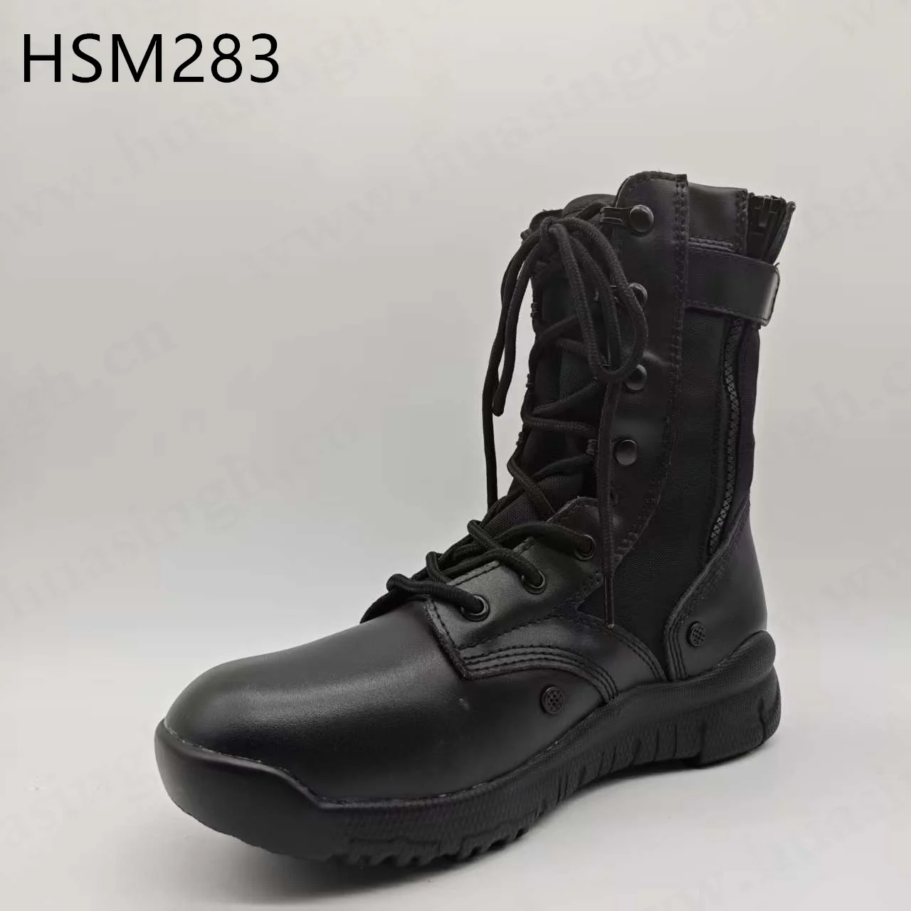 HSM283 ()