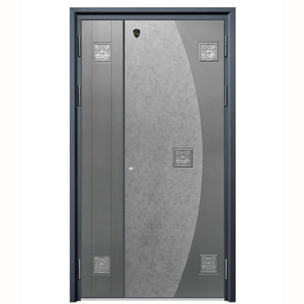 Metal Door for houses