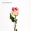 A Pink Purple Rose [Send a Bundle of Flowers, Leaves and Hemp Ro