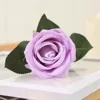 Pourpre