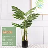 1.1M Monstera deliciosa, Style C