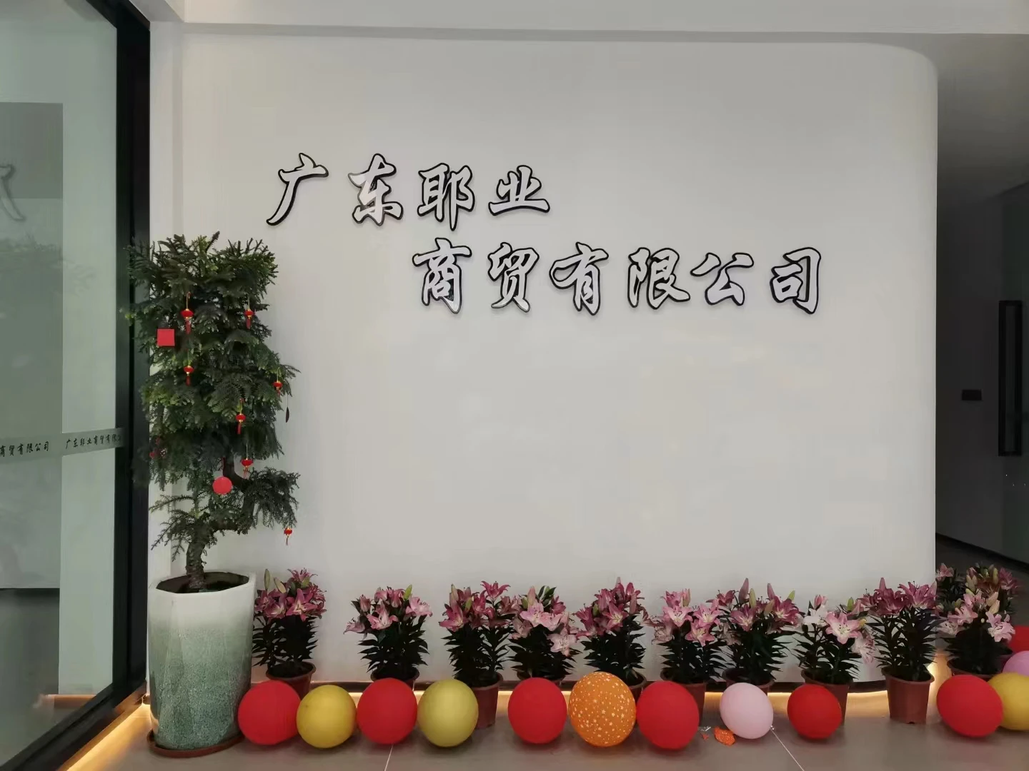 Guangdong Yeye Trading Co., Ltd.