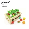 Shape Sorter with Carrots