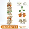 Autumn Maple Vines - L [1m]