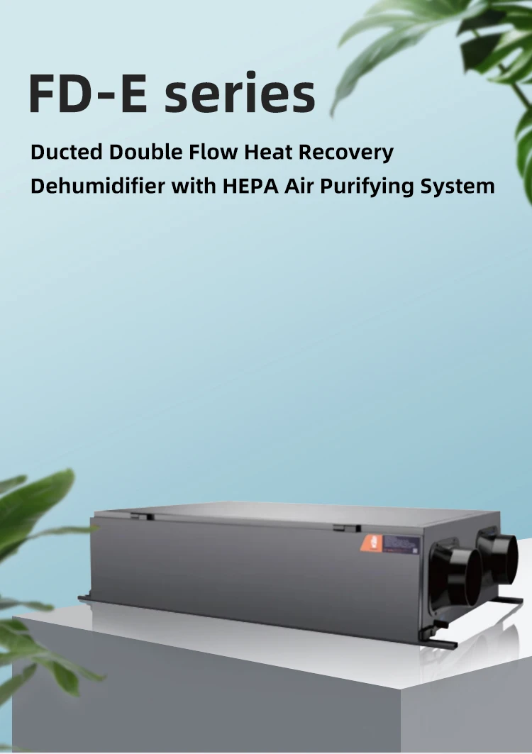 Ducted Whole House Dehumidifier, 250L/D, 380, 2500-2900 - detail 2