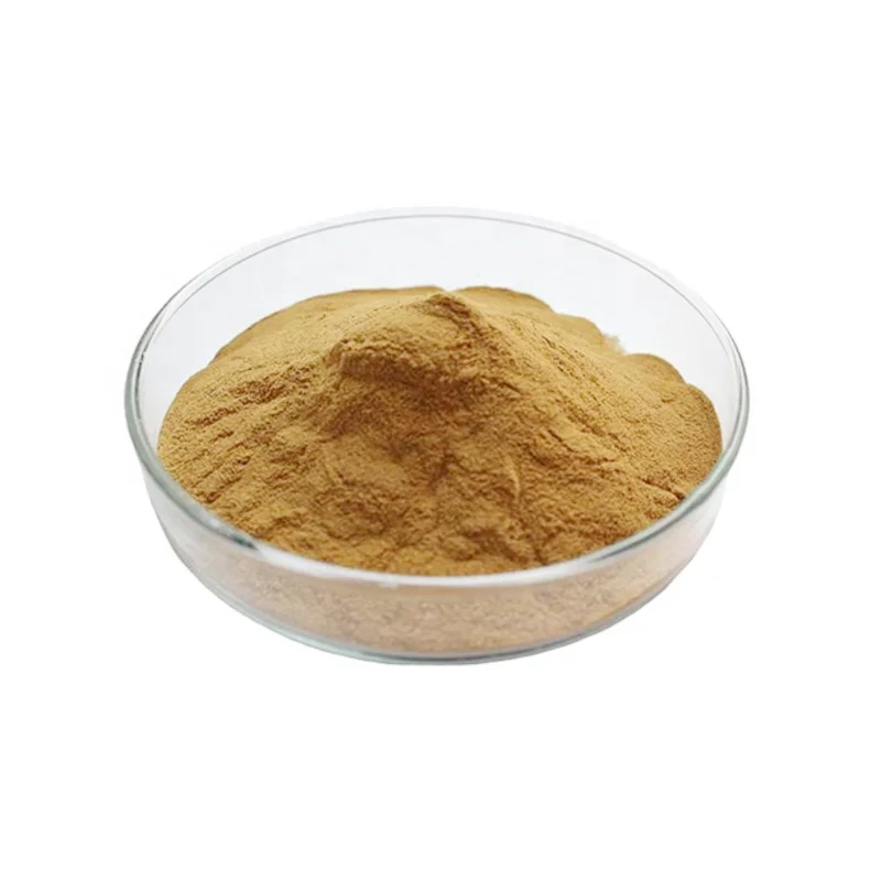 OEM Chia Seed Protein Powder Raw Material Chia Protein Powder 50% Daily Support Chia Protein Powder Increase Satiety