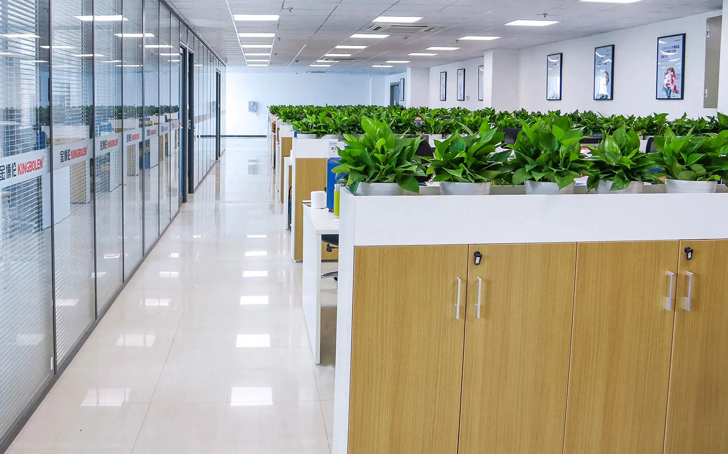 Shenzhen Kingbolen Electrics Technology Co., Ltd.