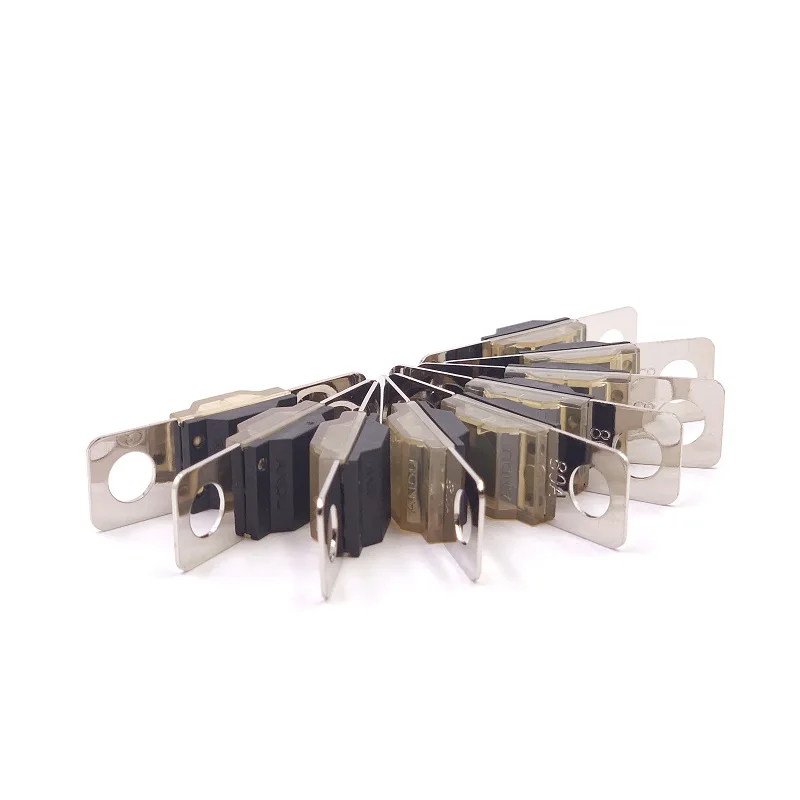Mini Anl Audio Zekering 175a - 2 Stuks