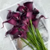Carne nero-viola-bianca
